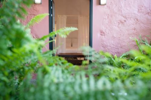 Bed & Breakfast Suites De Franchy