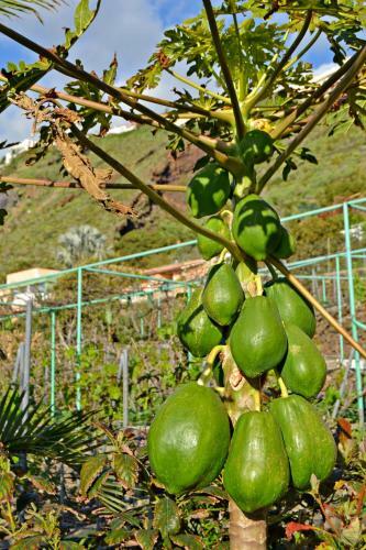 Agroturismo Casa Victor