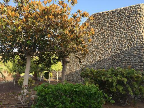 Villa M&f Golf Views. Walk To Beach