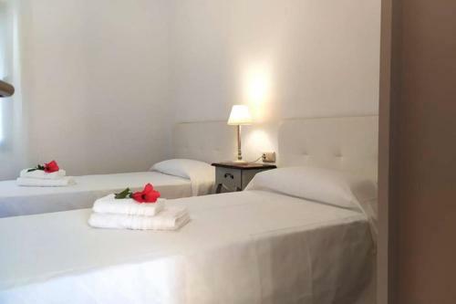 Anahi Homes Corralejo- Dracaena 16