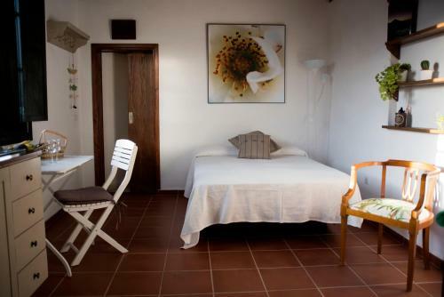Finca La Plantaci�n _agroturismo
