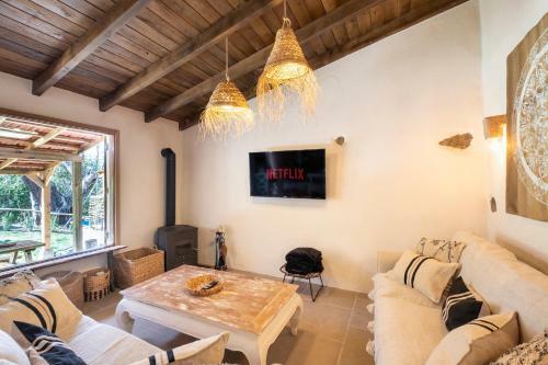 Villa El Pino Centenario 8