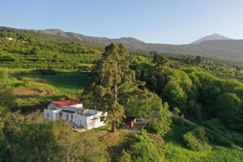 Villa El Pino Centenario 8