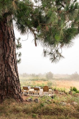 Villa El Pino Centenario 8