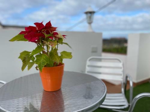 Apartamento Parque La Guina