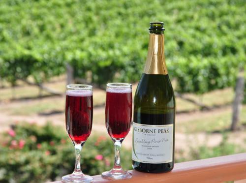 Lodge Gisborne Peak Winery Eco-cottages