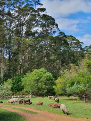 Agroturismo Cinnamon Coloureds Farm Cottages