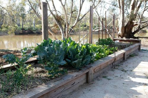 Captain's Cottage Bed & Breakfast