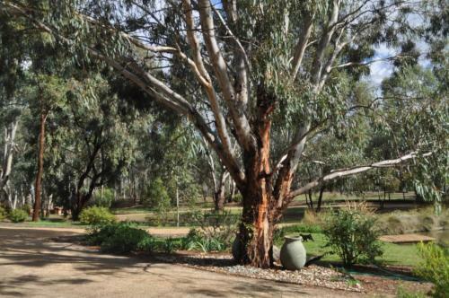 Captain's Cottage Bed & Breakfast