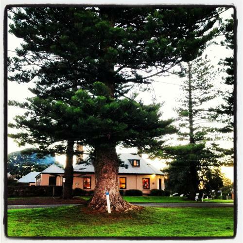 Bed & Breakfast Merrijig Inn