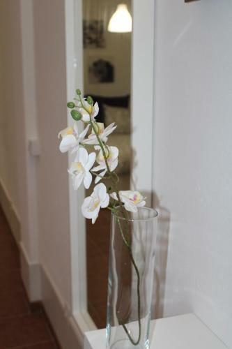Apartamento Loft Pinope