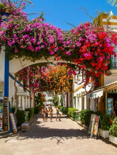 To To Apartments - Puerto De Mog�n
