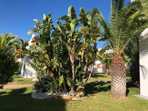 Apartamento Stival Park 4