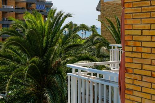 Apartamento Oneway Coral Xperience By Guestway