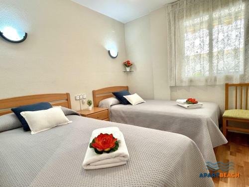 Apartbeach Paradis Park 535 Junto Playa Y Climatizado