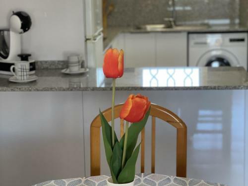 Apartbeah Nargam 49 Junto Playa Y Climatizado