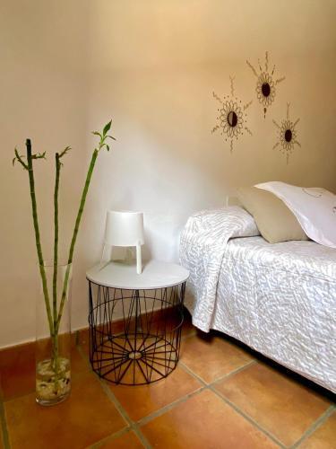 Home2book Garachico Ocean View