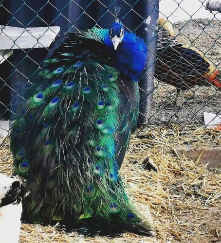 Apartamento Summer House Tarragona
