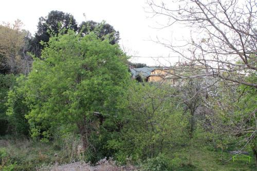 Apartamento Cal General