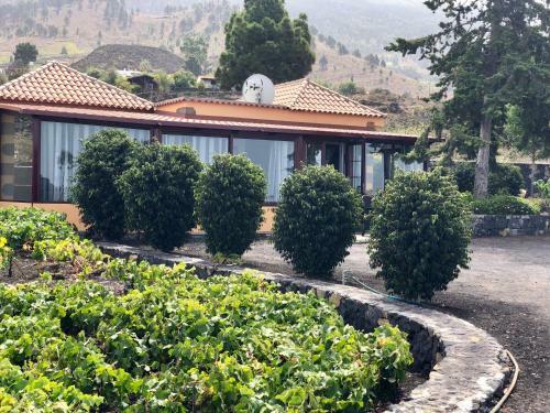 Agroturismo Casa Cueva De Las Palomas 2