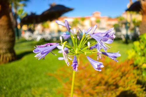 Chalet Adosado En Islantilla - Costa de La Luz