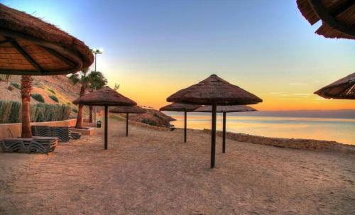 Luxury Apartments In Samarah Resort