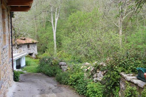 La Casita Del Violi
