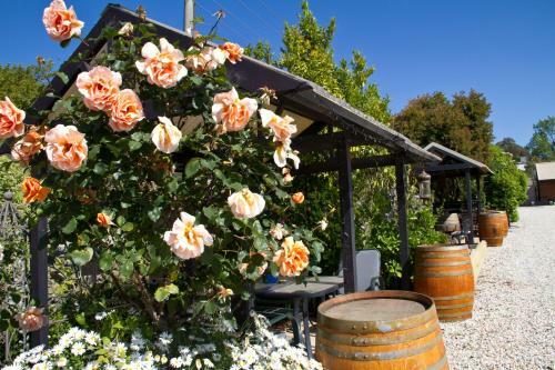 Beechworth On Bridge Boutique Motel