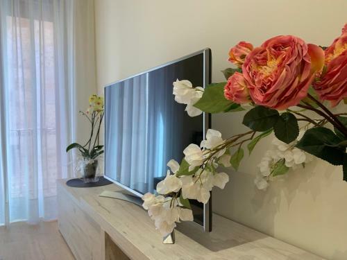 Apartamentos M.bell