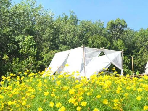 Baibai At Thaimuang Farmstay