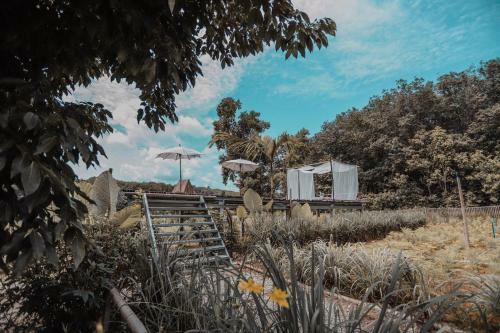Baibai At Thaimuang Farmstay