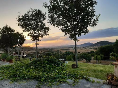 Villa Son Real Mansi�n En Un Lugar Aislado Con Increibles Vistas Panor�micas