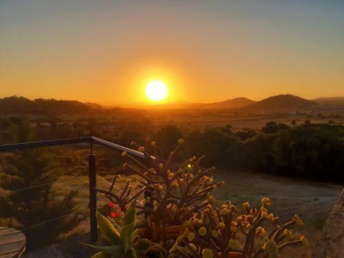 Villa Son Real Mansi�n En Un Lugar Aislado Con Increibles Vistas Panor�micas