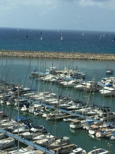 Apartamento Business Class Marina Herzliya