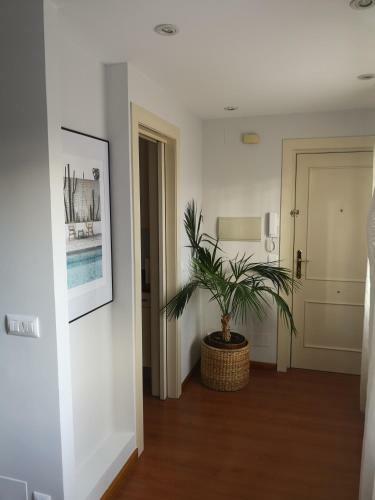 Apartamento Plaza Del Grano - Barrio H�medo -