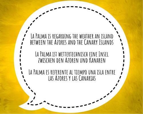 Studio Mazo The Glamping