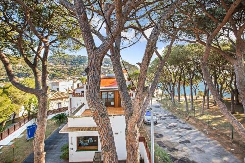 Apartamento Ancora 10
