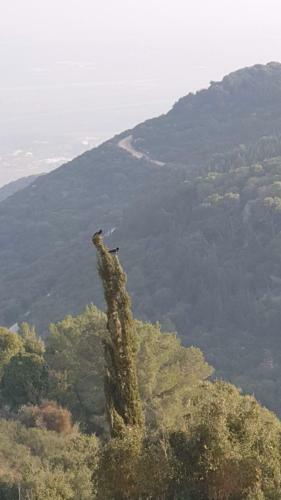 Hostal Panoramic View