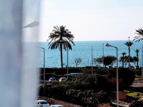 Apartamento Artichoke Boutique
