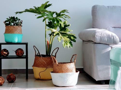 Apartamento Artichoke Boutique