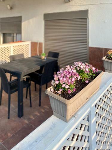Apartamento Sea Pearl