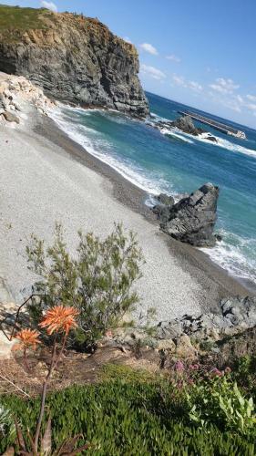 Apartamento Port De Llan�a , La Miranda