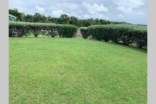 Neem View Apartment #10
