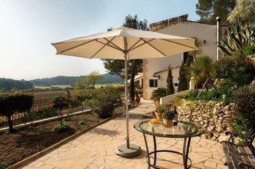 Villa Eco Finca Can Alegria