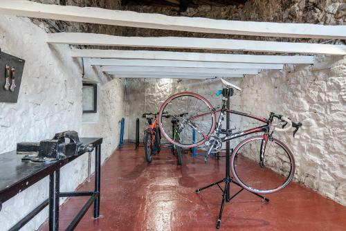 Fortbike San Mateo