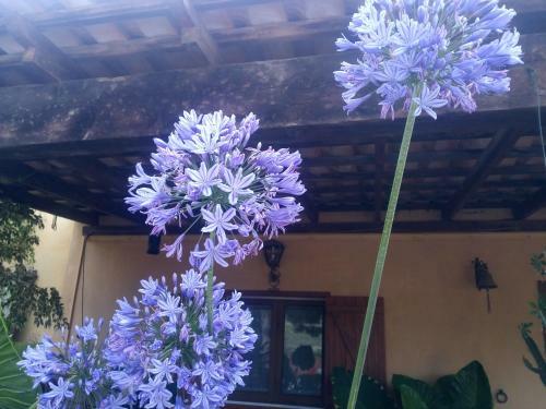 Agroturismo Casa Rural Los Corteses