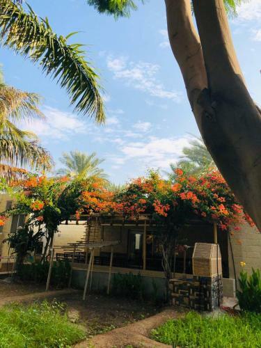 Lodge Nizwa Garden Suite