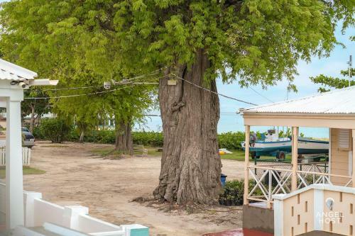 Apartamento Beach Front Bajan Beach Cottages By Angel Host
