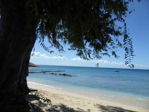Great Apartment In Bridgetown Barbados Bargain