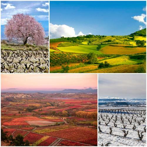 Apartamento Marqu�s De La Rioja